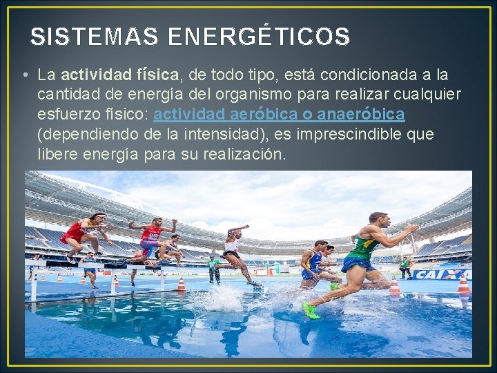 SISTEMAS ENERGÉTICOS • La actividad física, de todo tipo, está condicionada a la cantidad