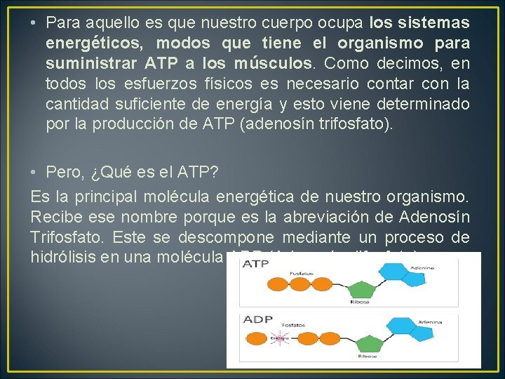  • Para aquello es que nuestro cuerpo ocupa los sistemas energéticos, modos que