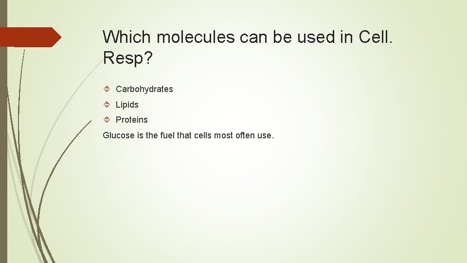 Which molecules can be used in Cell. Resp? Carbohydrates Lipids Proteins Glucose is the