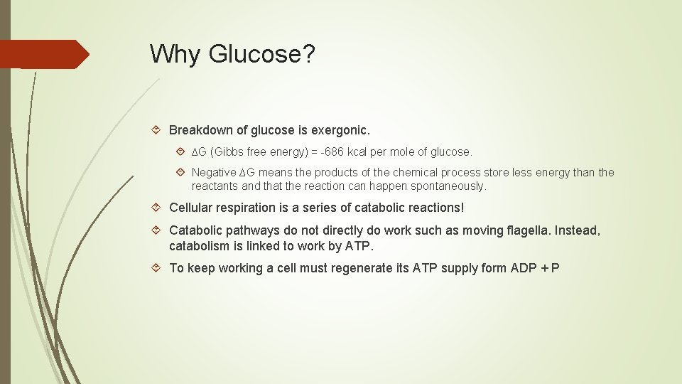 Why Glucose? Breakdown of glucose is exergonic. ∆G (Gibbs free energy) = -686 kcal