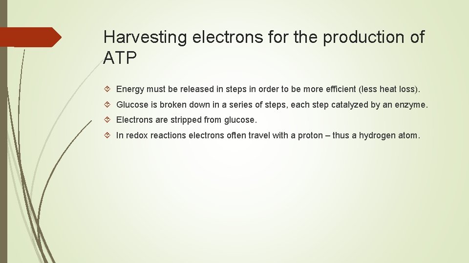 Harvesting electrons for the production of ATP Energy must be released in steps in
