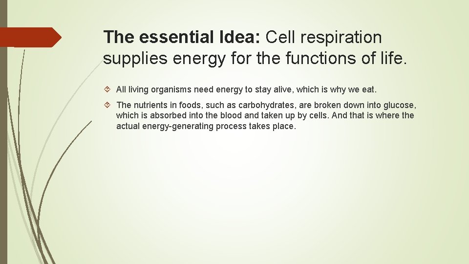 The essential Idea: Cell respiration supplies energy for the functions of life. All living