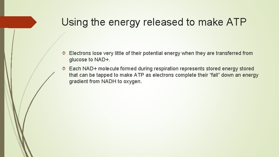 Using the energy released to make ATP Electrons lose very little of their potential