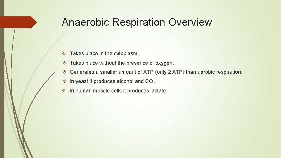 Anaerobic Respiration Overview Takes place in the cytoplasm. Takes place without the presence of