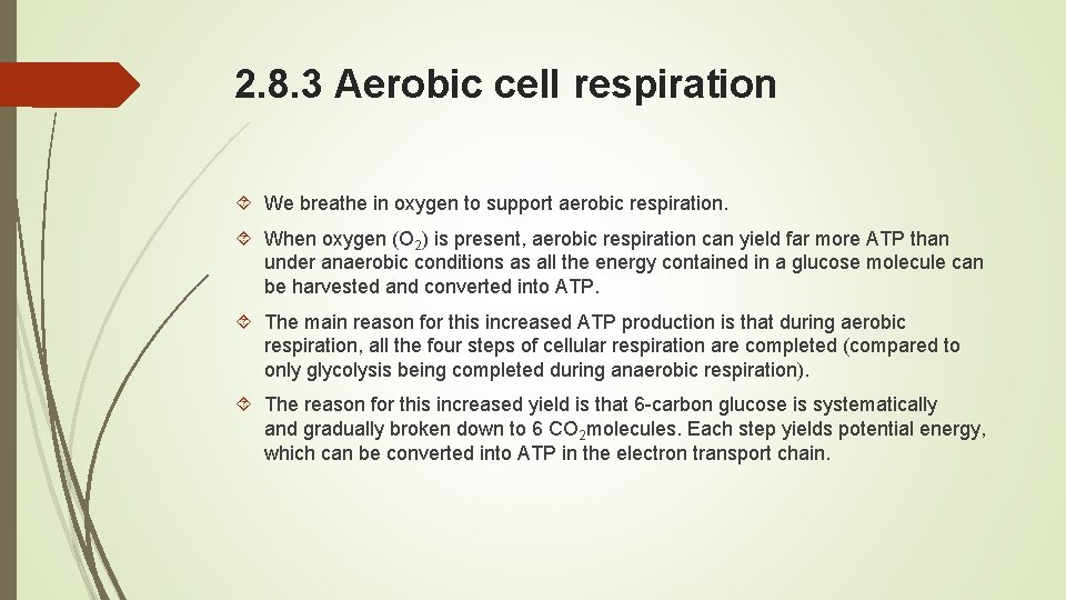 2. 8. 3 Aerobic cell respiration We breathe in oxygen to support aerobic respiration.