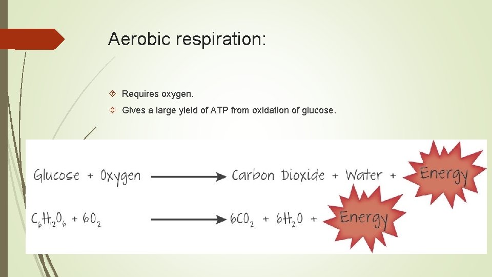 Aerobic respiration: Requires oxygen. Gives a large yield of ATP from oxidation of glucose.