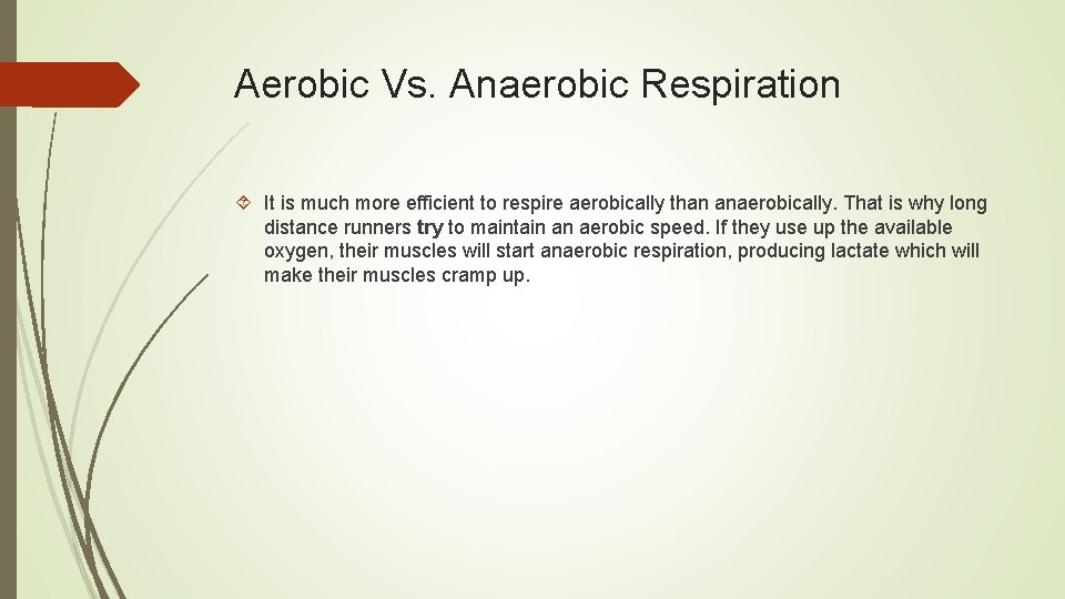 Aerobic Vs. Anaerobic Respiration It is much more efficient to respire aerobically than anaerobically.