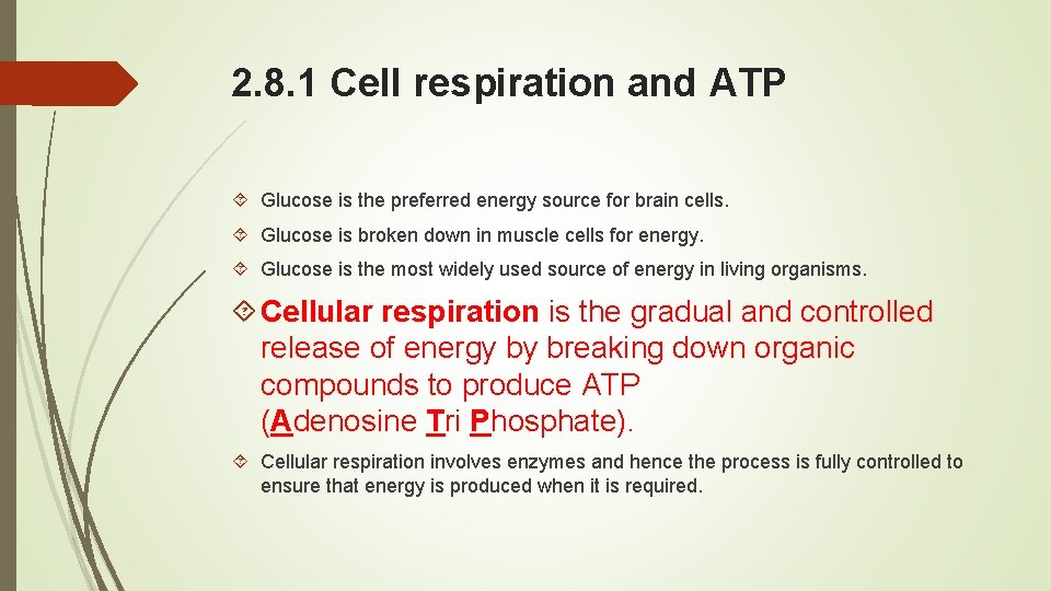 2. 8. 1 Cell respiration and ATP Glucose is the preferred energy source for