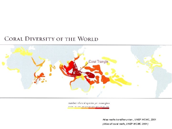 Atlas resife koralíferu nian , UNEP. WCMC, 2001 (Atlas of coral reefs, UNEP-WCMC 2001)