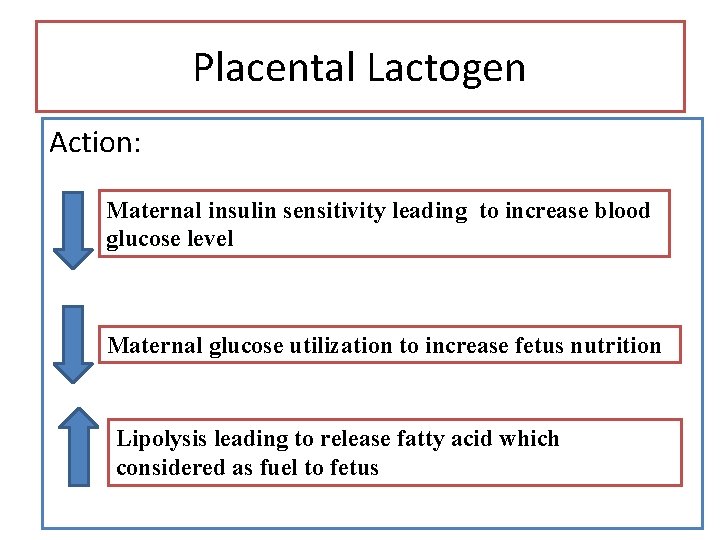Placental Lactogen Action: Maternal insulin sensitivity leading to increase blood glucose level Maternal glucose