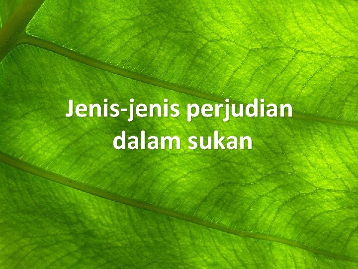 Jenis-jenis perjudian dalam sukan 