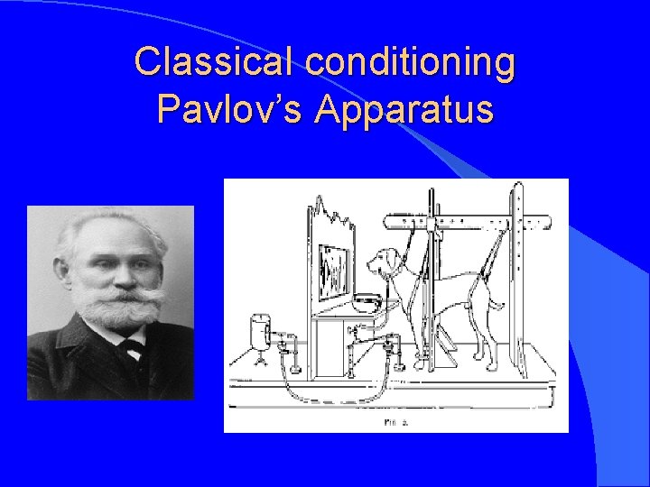 Classical conditioning Pavlov’s Apparatus 