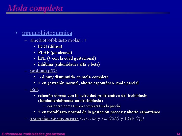 Mola completa • inmunohistoquímica: – sincitiotrofoblasto molar : + • • h. CG (difusa)