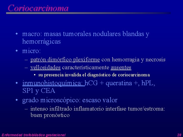 Coriocarcinoma • macro: masas tumorales nodulares blandas y hemorrágicas • micro: – patrón dimórfico