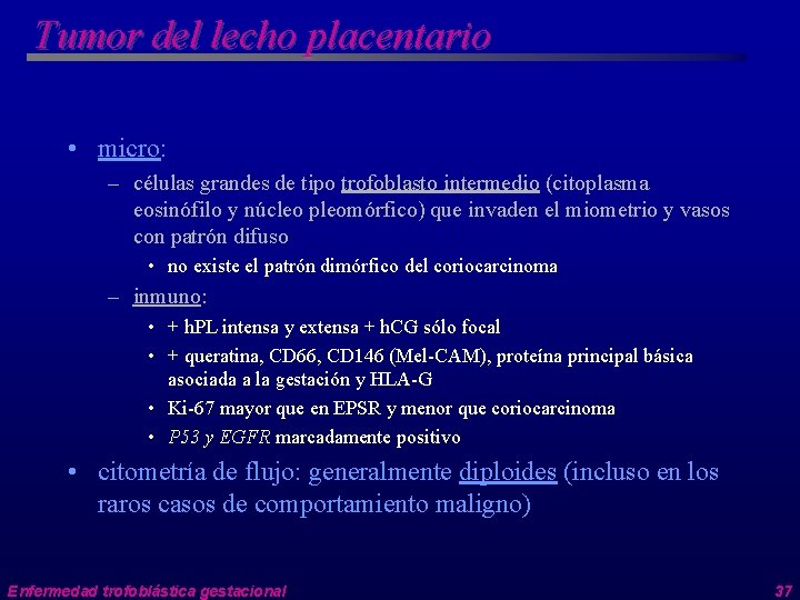 Tumor del lecho placentario • micro: – células grandes de tipo trofoblasto intermedio (citoplasma