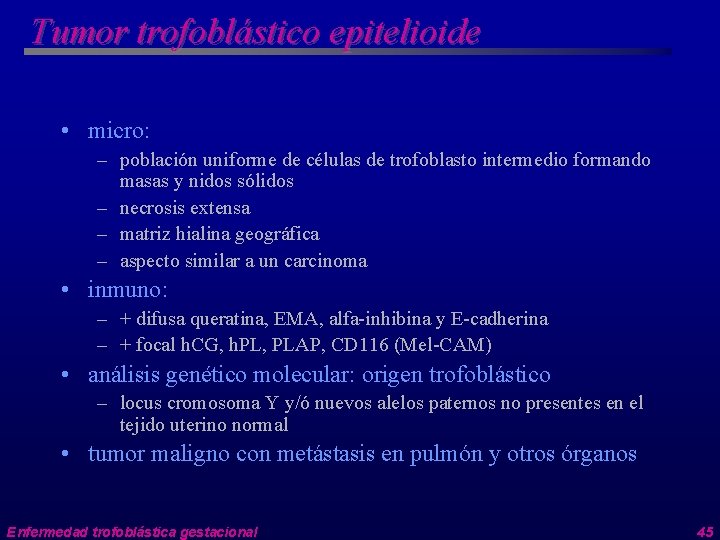 Tumor trofoblástico epitelioide • micro: – población uniforme de células de trofoblasto intermedio formando