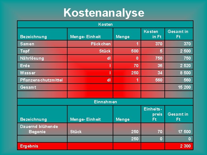 Kostenanalyse Kosten Bezeichnung Menge- Einheit Samen Kosten in Ft Menge Gesamt in Ft Päckchen