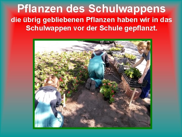 Pflanzen des Schulwappens die übrig gebliebenen Pflanzen haben wir in das Schulwappen vor der