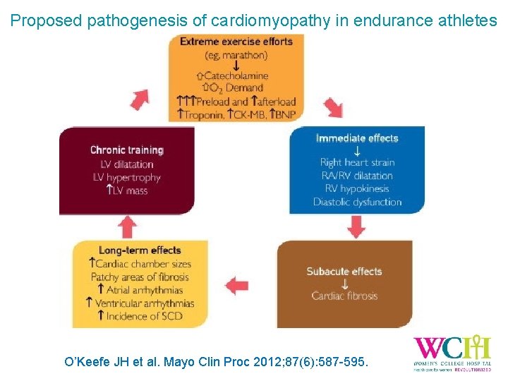 Proposed pathogenesis of cardiomyopathy in endurance athletes FIGURE 7 O’Keefe JH et al. Mayo