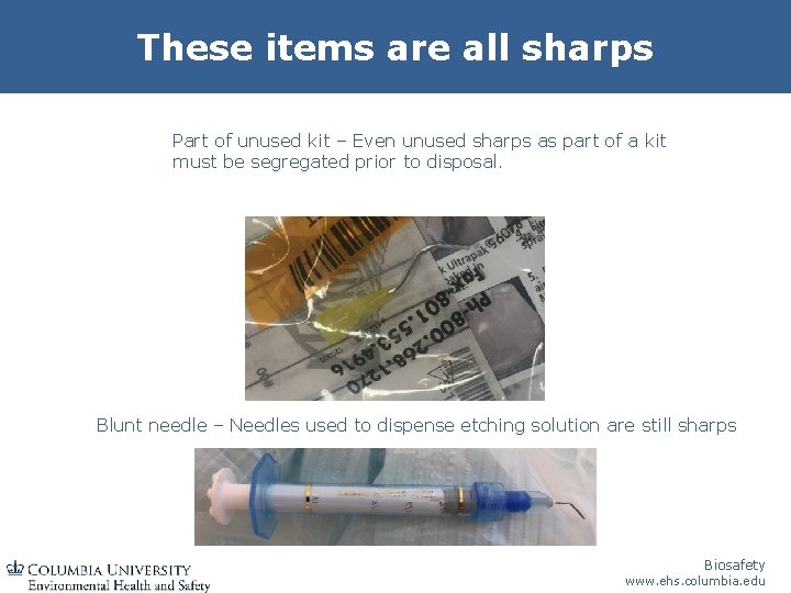 Bloodborne PathogensInfection Control Tuberculosis Awareness College of