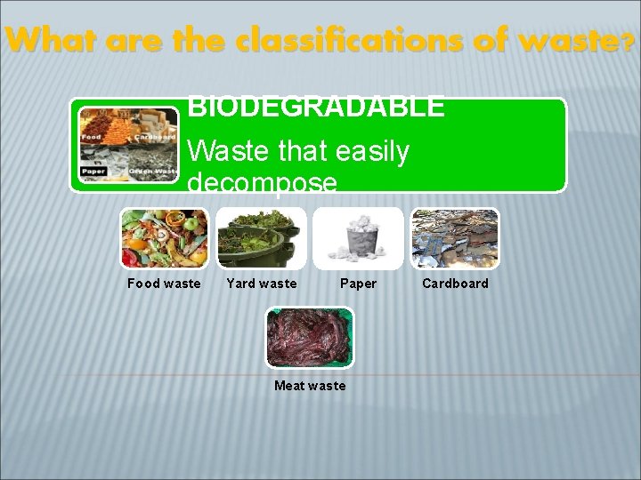 What are the classifications of waste? BIODEGRADABLE Waste that easily decompose Food waste Yard