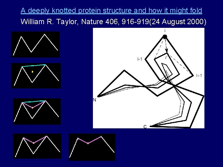 A deeply knotted protein structure and how it might fold William R. Taylor, Nature