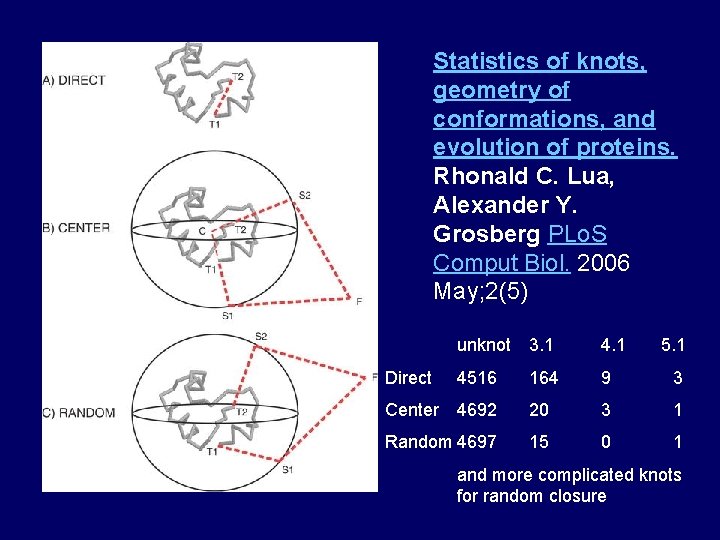 Statistics of knots, geometry of conformations, and evolution of proteins. Rhonald C. Lua, Alexander