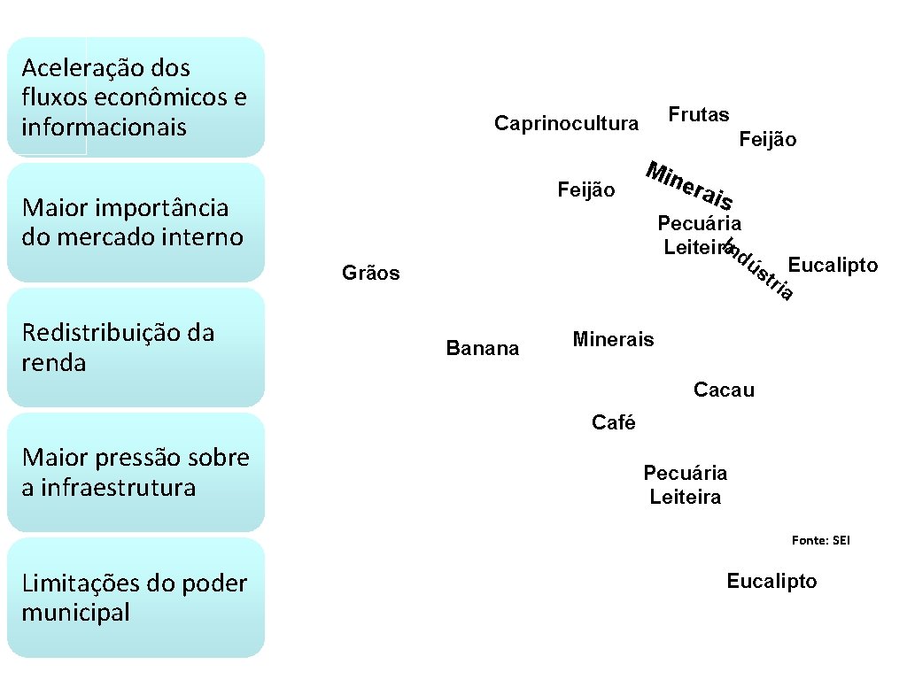 Aceleração dos fluxos econômicos e informacionais Frutas Caprinocultura Feijão Maior importância do mercado interno