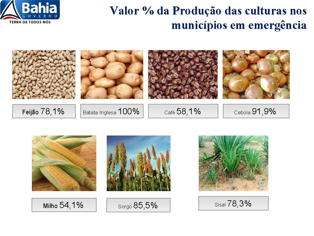 Valor % da Produção das culturas nos municípios em emergência Feijão 78, 1% Batata