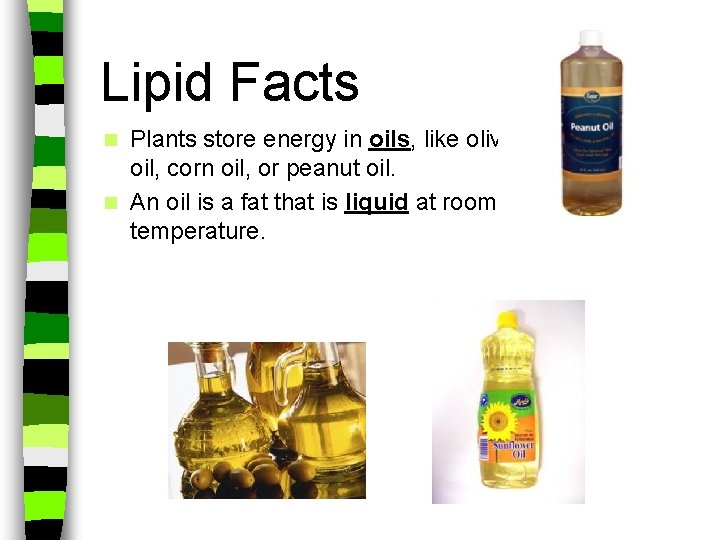 Lipid Facts Plants store energy in oils, like olive oil, corn oil, or peanut