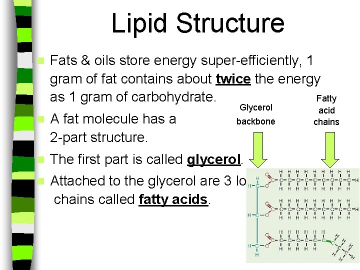 Lipid Structure n Fats & oils store energy super-efficiently, 1 gram of fat contains