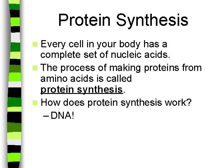 Protein Synthesis n Every cell in your body has a complete set of nucleic