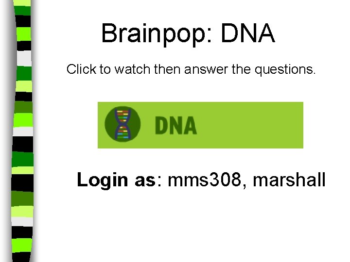 Brainpop: DNA Click to watch then answer the questions. Login as: mms 308, marshall
