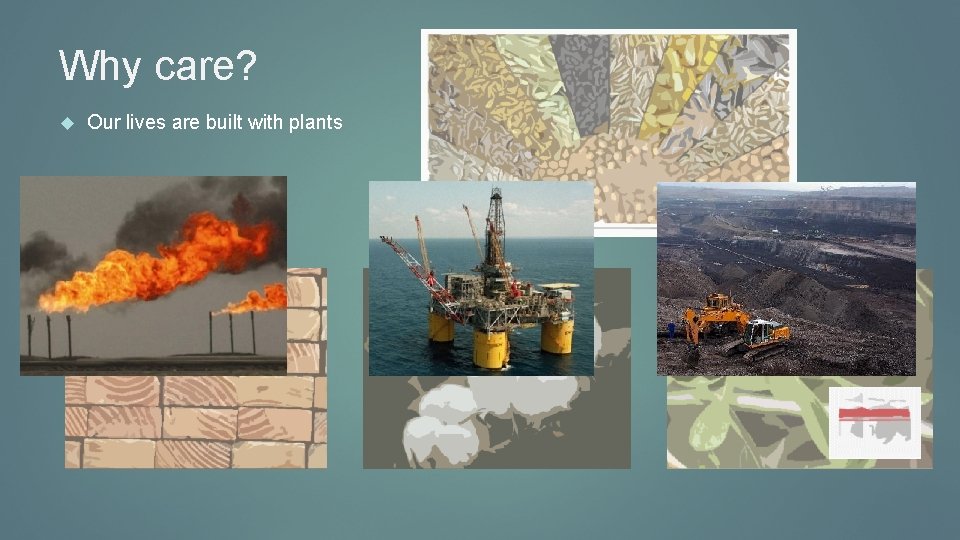 Why care? Our lives are built with plants 