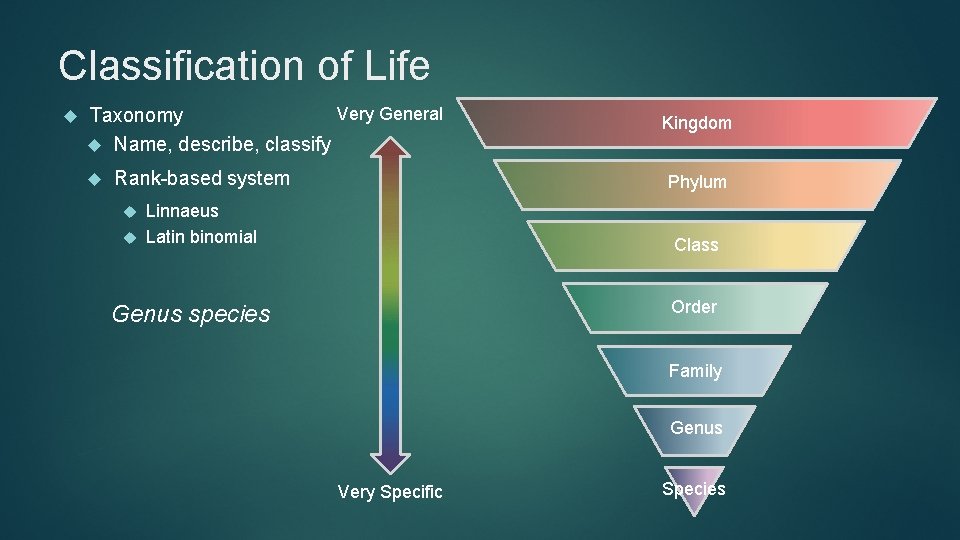 Classification of Life Very General Taxonomy Name, describe, classify Rank-based system Kingdom Phylum Linnaeus