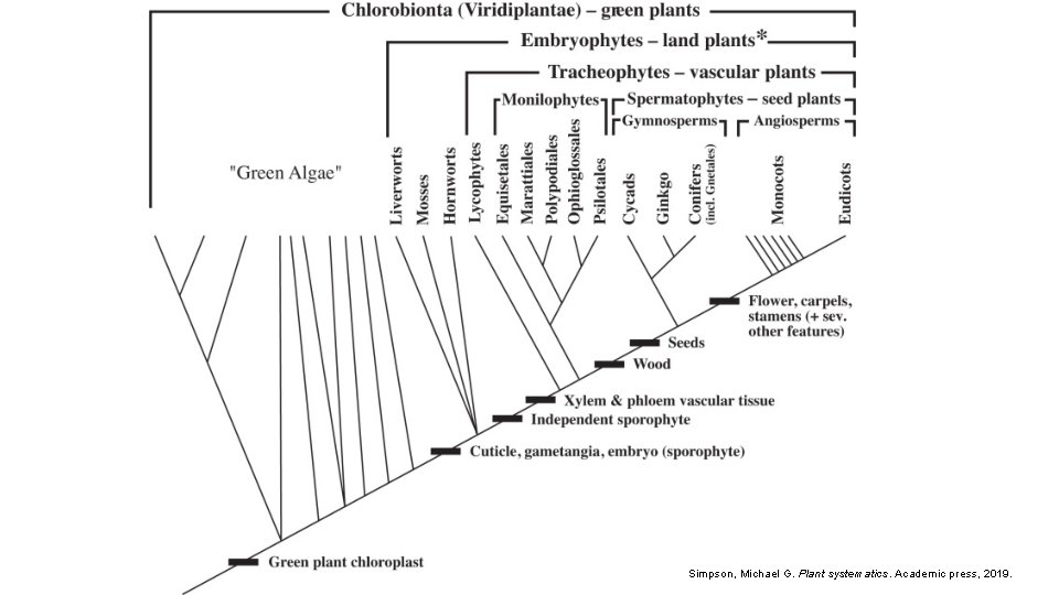 Simpson, Michael G. Plant systematics. Academic press, 2019. 