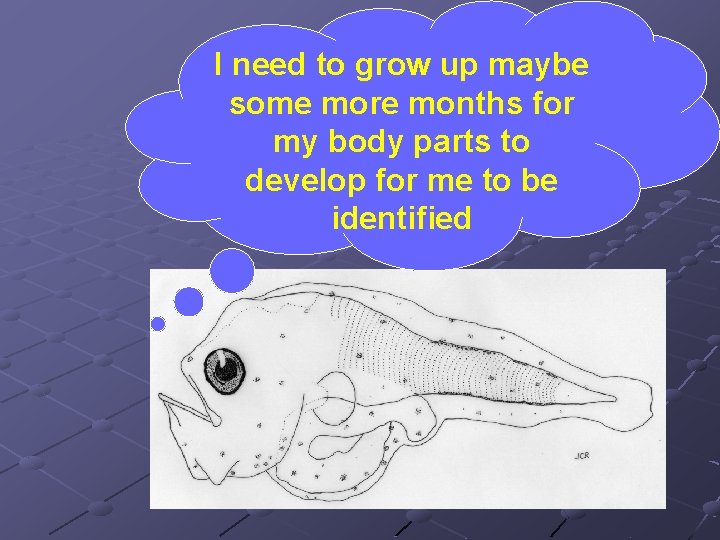 I need to grow up maybe some more months for my body parts to