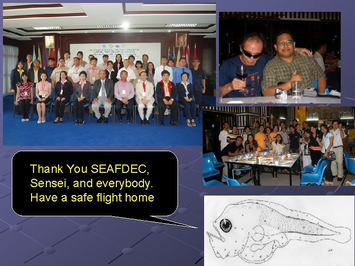 Thank You SEAFDEC, Sensei, and everybody. Have a safe flight home 