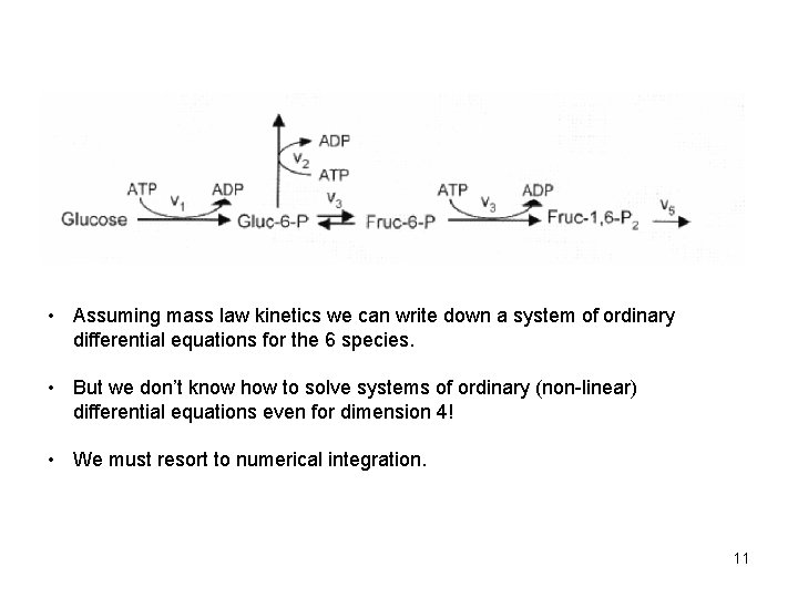  • Assuming mass law kinetics we can write down a system of ordinary
