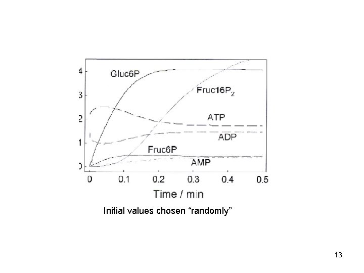 Initial values chosen “randomly” 13 