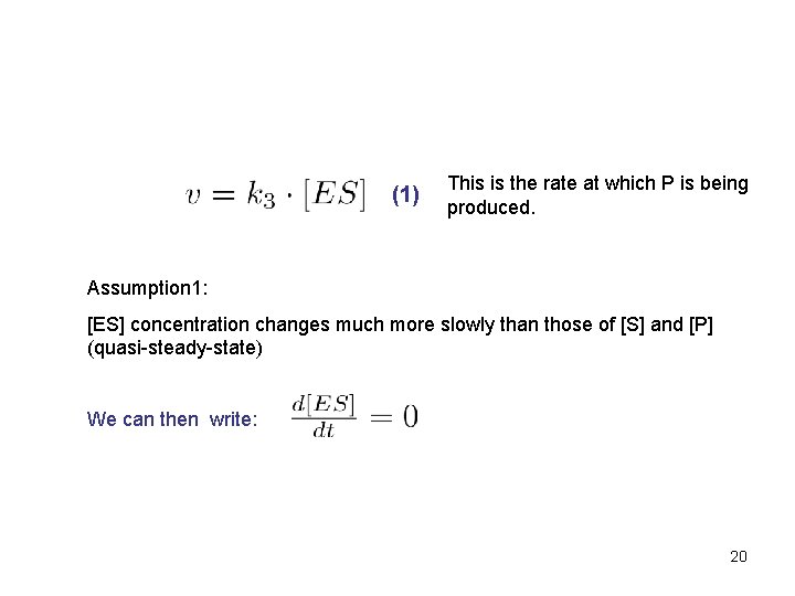 (1) This is the rate at which P is being produced. Assumption 1: [ES]