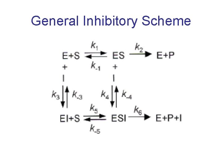 General Inhibitory Scheme 
