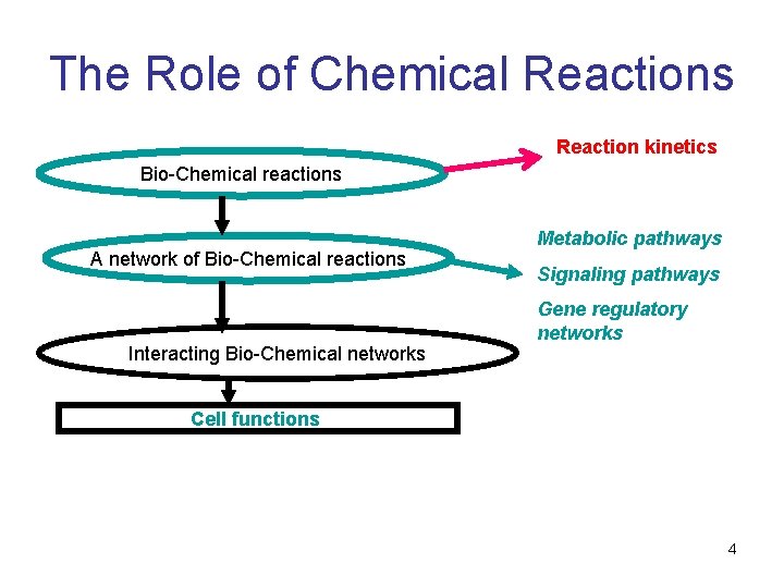 The Role of Chemical Reactions Reaction kinetics Bio-Chemical reactions A network of Bio-Chemical reactions