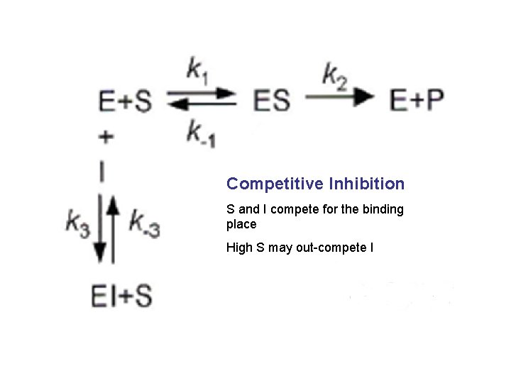 Competitive Inhibition S and I compete for the binding place High S may out-compete