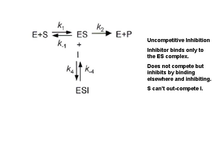 Uncompetitive Inhibition Inhibitor binds only to the ES complex. Does not compete but inhibits