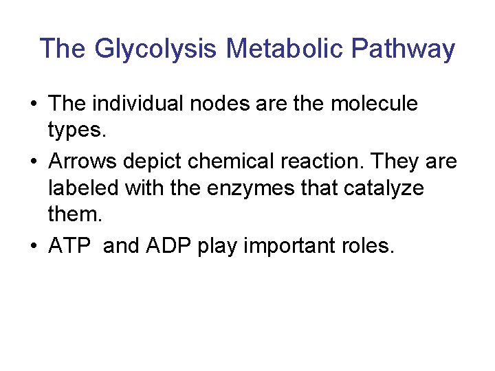 The Glycolysis Metabolic Pathway • The individual nodes are the molecule types. • Arrows