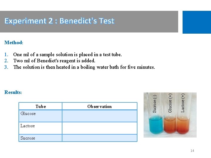 Experiment 2 : Benedict's Test Method: Glucose Observation Lactose (+) Tube Glucose (+) Results: