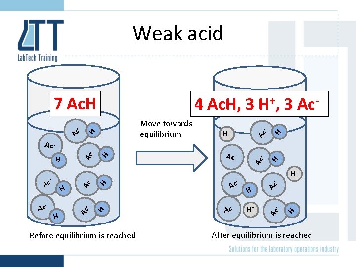 Weak acid Ac - H+ Ac - H Before equilibrium is reached - Ac Weak acid Ac - H+ Ac - H Before equilibrium is reached - Ac