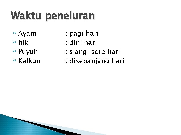 Waktu peneluran Ayam Itik Puyuh Kalkun : : pagi hari dini hari siang-sore hari Waktu peneluran Ayam Itik Puyuh Kalkun : : pagi hari dini hari siang-sore hari