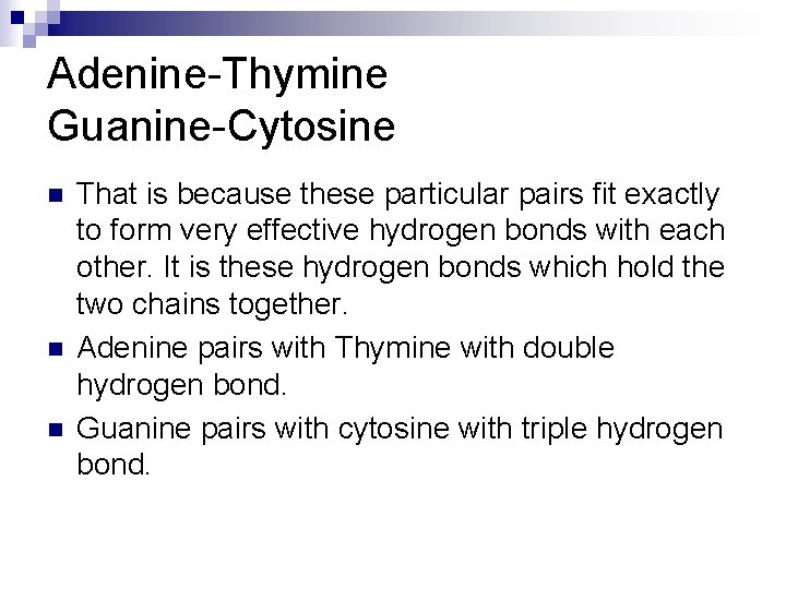 Adenine-Thymine Guanine-Cytosine n n n That is because these particular pairs fit exactly to